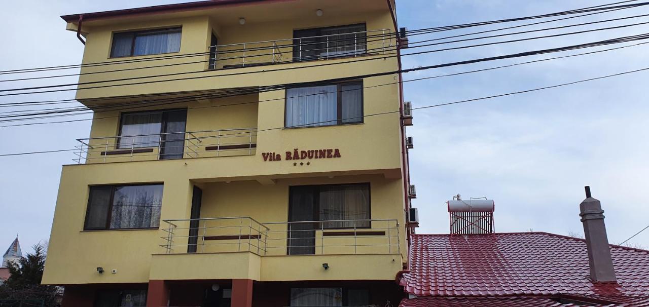 Vila Raduinea エフォリエ・ノルド エクステリア 写真